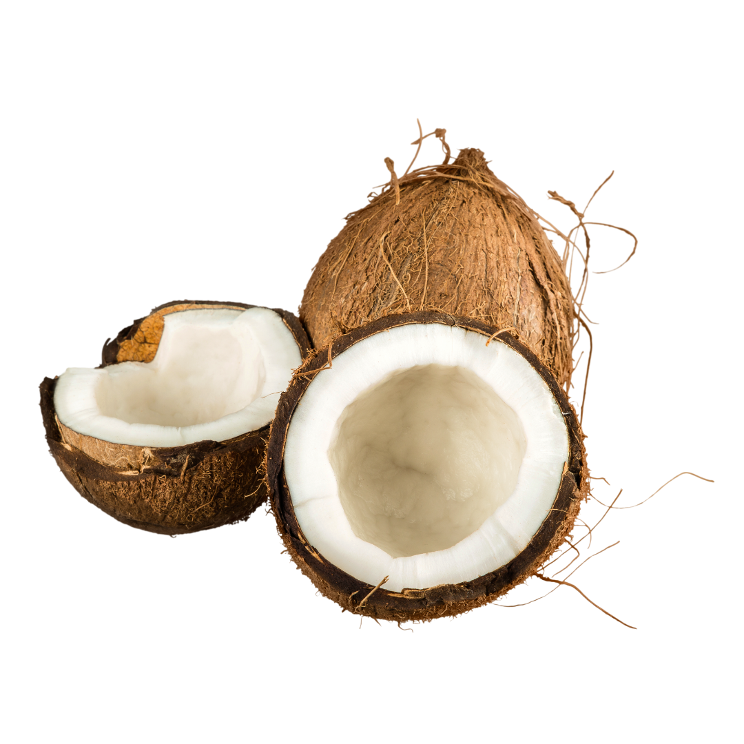 Coconuts